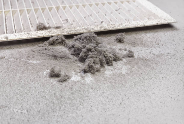 Best Emergency Air Duct Cleaning  in Brookville, IN