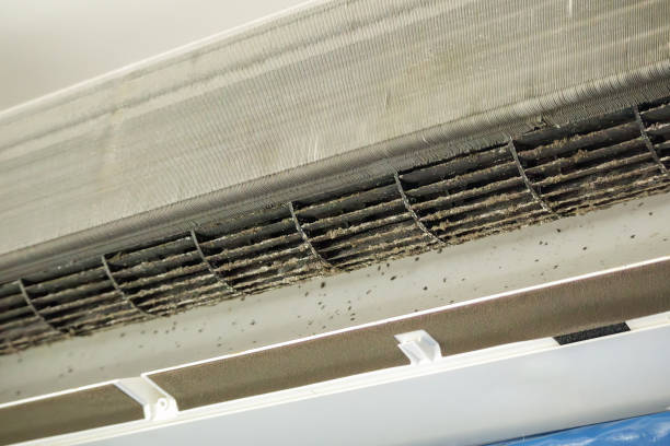 Best HVAC Duct Inspection Services  in Brookville, IN