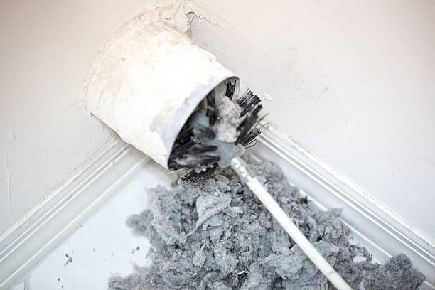 Best Duct Cleaning for Homes  in Brookville, IN